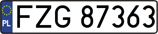 FZG87363