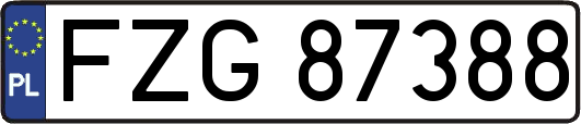 FZG87388