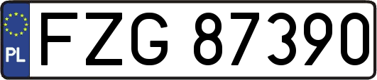 FZG87390