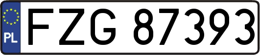 FZG87393