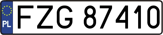 FZG87410