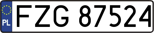 FZG87524