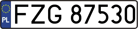 FZG87530