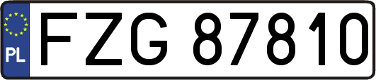 FZG87810