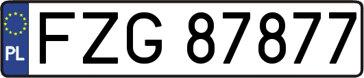 FZG87877