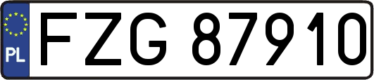 FZG87910