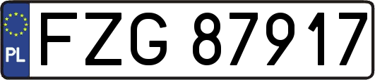 FZG87917