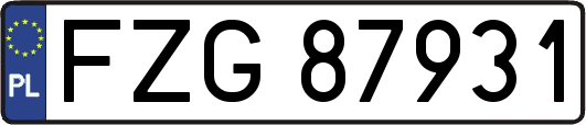 FZG87931