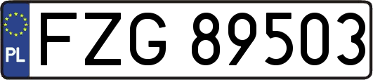 FZG89503