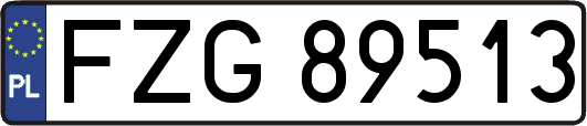 FZG89513