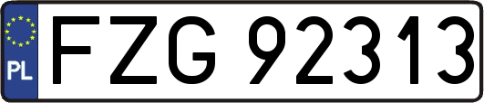 FZG92313