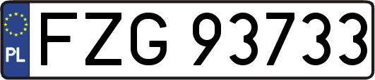 FZG93733