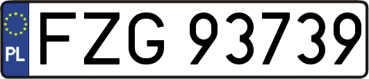 FZG93739