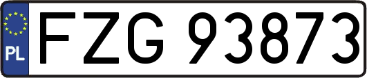 FZG93873