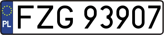 FZG93907