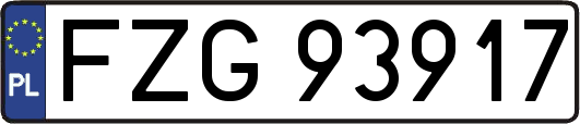 FZG93917