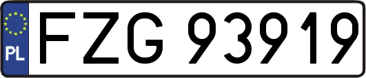 FZG93919