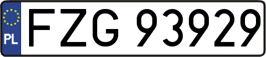 FZG93929