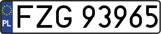 FZG93965