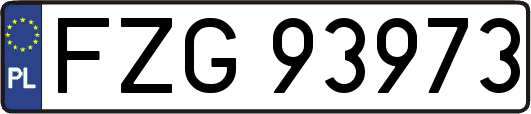 FZG93973