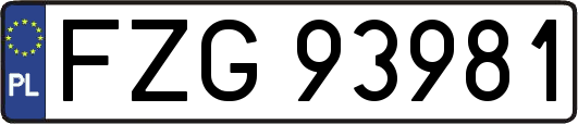 FZG93981