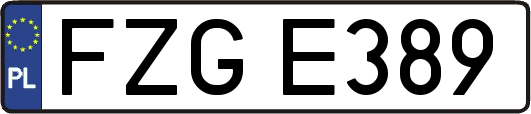 FZGE389