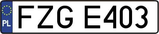 FZGE403