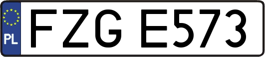 FZGE573