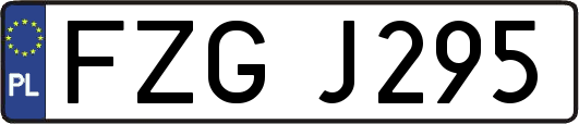 FZGJ295