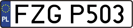 FZGP503