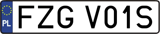 FZGV01S