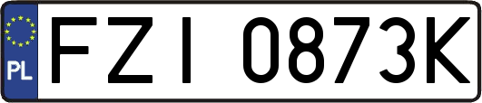 FZI0873K