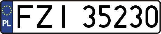 FZI35230