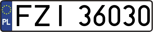FZI36030