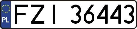 FZI36443