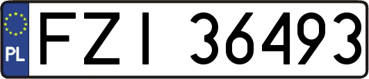 FZI36493