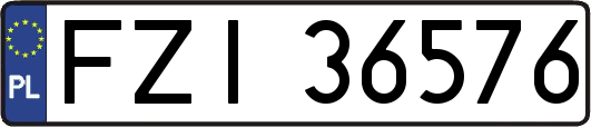 FZI36576
