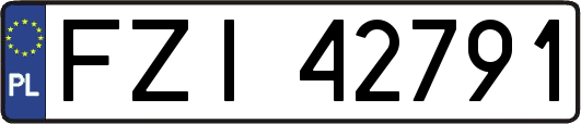 FZI42791