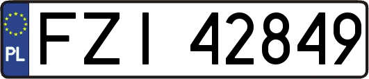 FZI42849