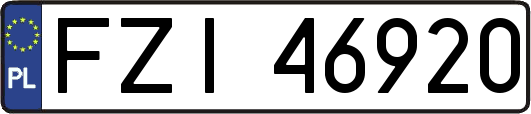 FZI46920