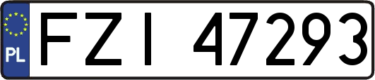 FZI47293