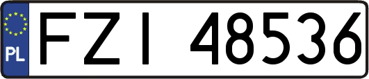 FZI48536