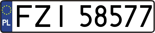 FZI58577
