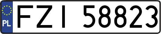 FZI58823