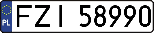 FZI58990
