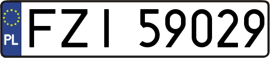 FZI59029