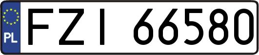 FZI66580