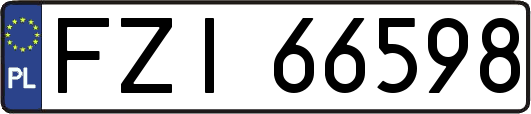 FZI66598