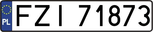 FZI71873