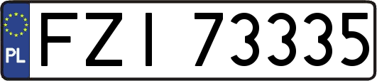 FZI73335